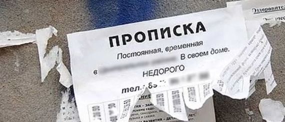 прописка в Судогде